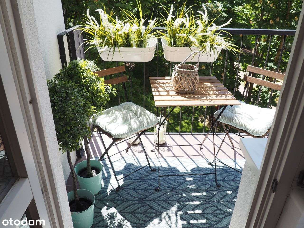 kawalerka 35m z klimatem CZECHÓW k. Auchan k.IKEA - Pełny obrazek: 4/11