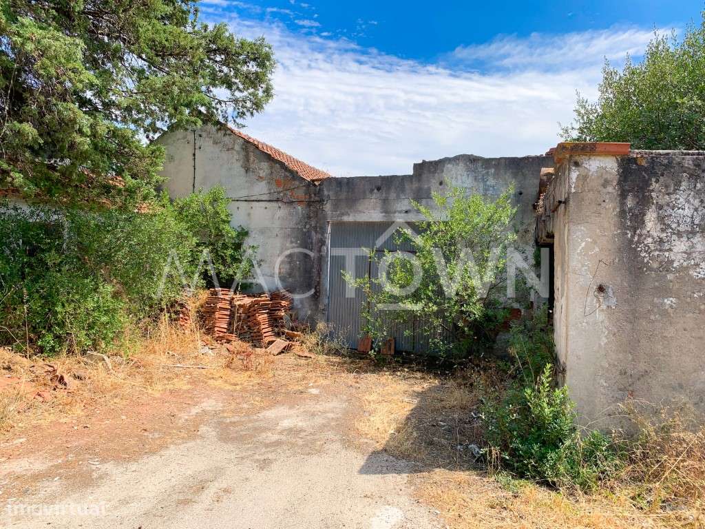 Lote Industrial Estratégico - Nova Área Empresarial de Alcanena - Grande imagem: 5/19