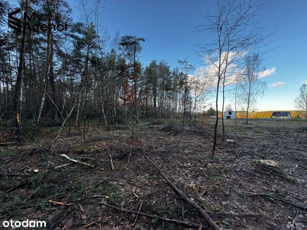 Lewino, ul. Lipowa - działki na sprzedaż-14