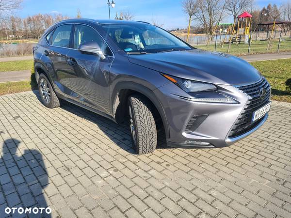 Lexus NX 300 Optimum AWD - 10