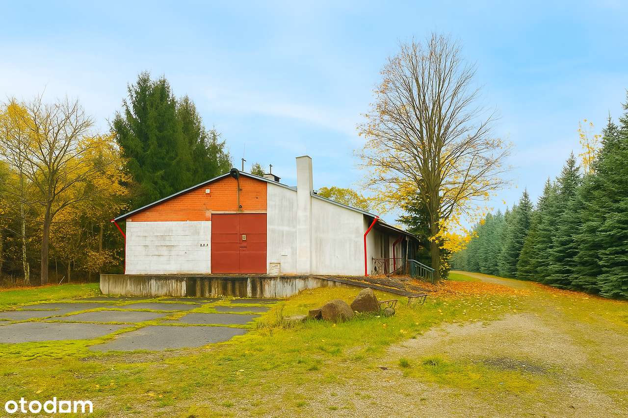 Wilcza Góra | ul. Żwirowa | 1,96 ha | hala + dom | teren UM - Pełny obrazek: 5/9