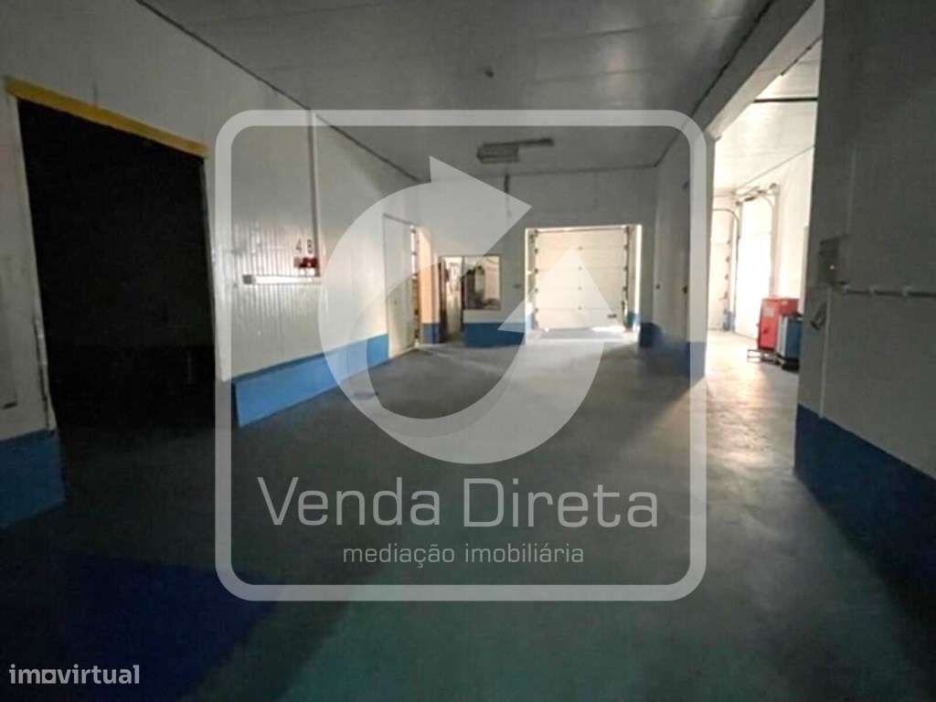 Armazém Industrial Isolado com Elevado Potencial | Ilha Terceira - ... - Grande imagem: 4/22
