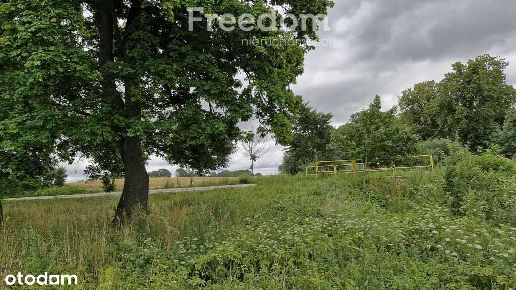 Przestronna działka 3 735 m² na Warmii i Mazurach - Pełny obrazek: 5/12