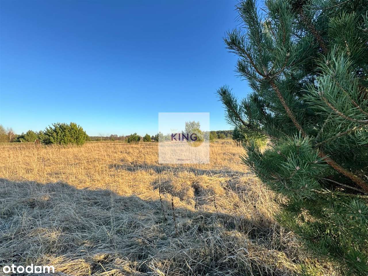 Działka na sprzedaż, Widuchowa - Pełny obrazek: 5/7