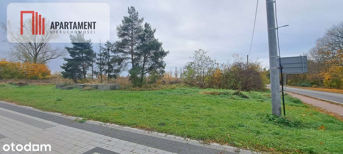 Tylko u nas! działka 25 km od Gdańska - Pełny obrazek: 5/5