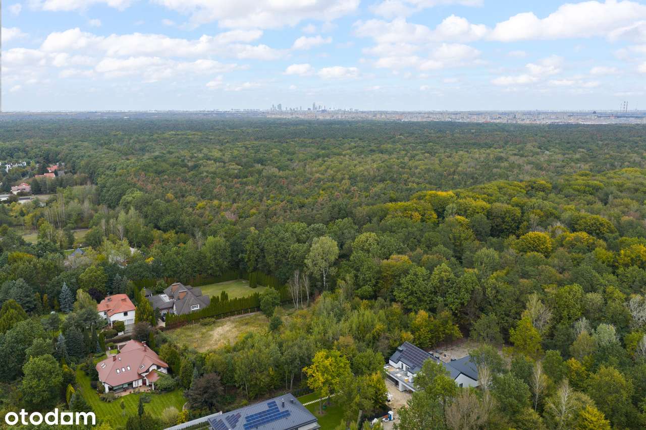 Działka budowlana 3253 m²  Kierszek | Przy samym Lesie Kabackim | MPZP - Pełny obrazek: 4/5