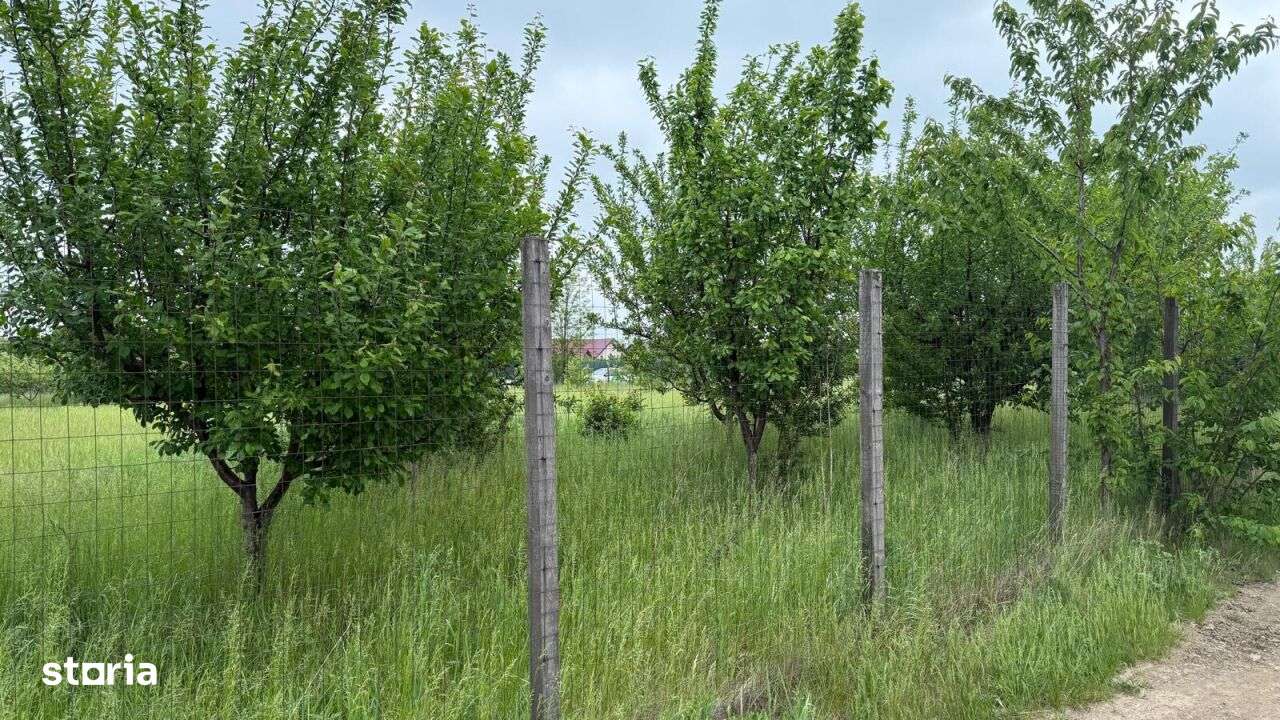 TEREN PENTRU CONSTRUCTIA CASEI, MIROSLAVA, VALEA URSULUI-5