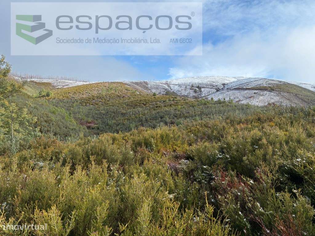 Magnifico Terreno - Grande imagem: 2/19