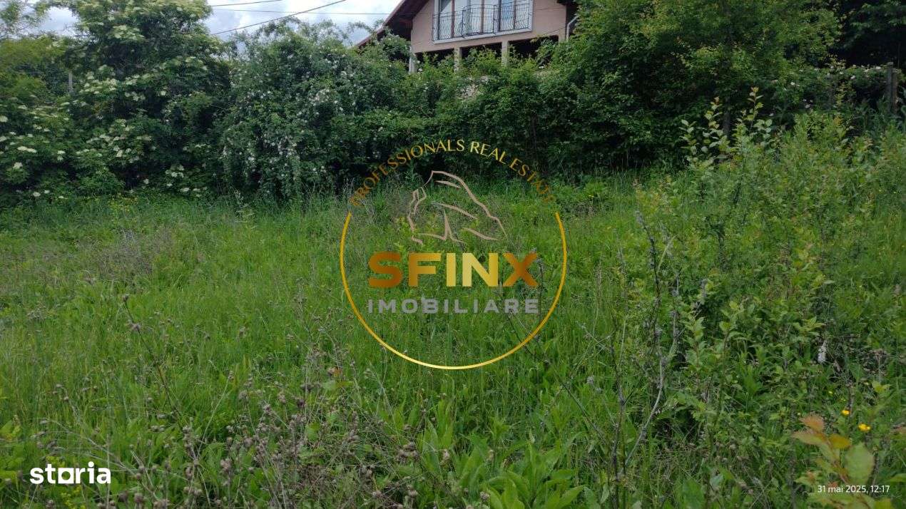 Teren intravilan de vanzare in Breaza – Strada Primaverii - Imagine principală: 3/11