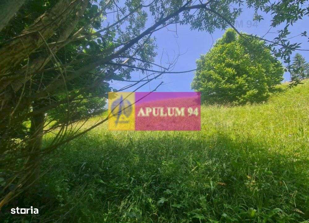 Teren de vânzare în Bușteni - Zona Zamora - Imagine principală: 1/20