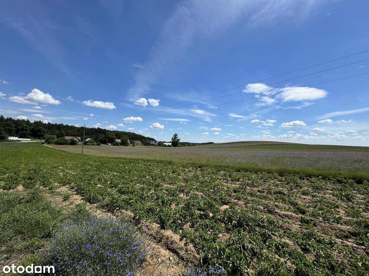 Działka budowlana z własnym lasem i asfaltowym dojazdem, media!-16