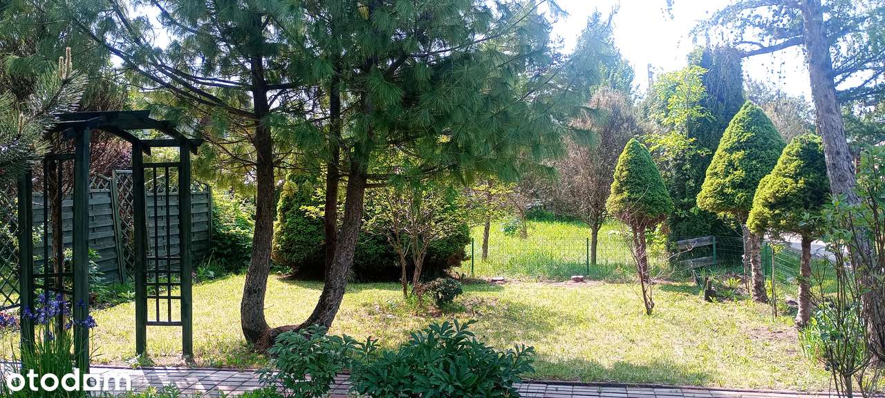 Działka ROD w świetnej lokalizacji - Pełny obrazek: 4/4