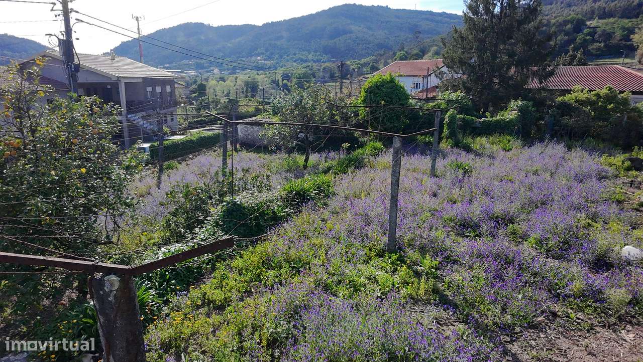 Ruína com Terreno Urbano de 600 m² em Longos – a 10 min de Braga-11