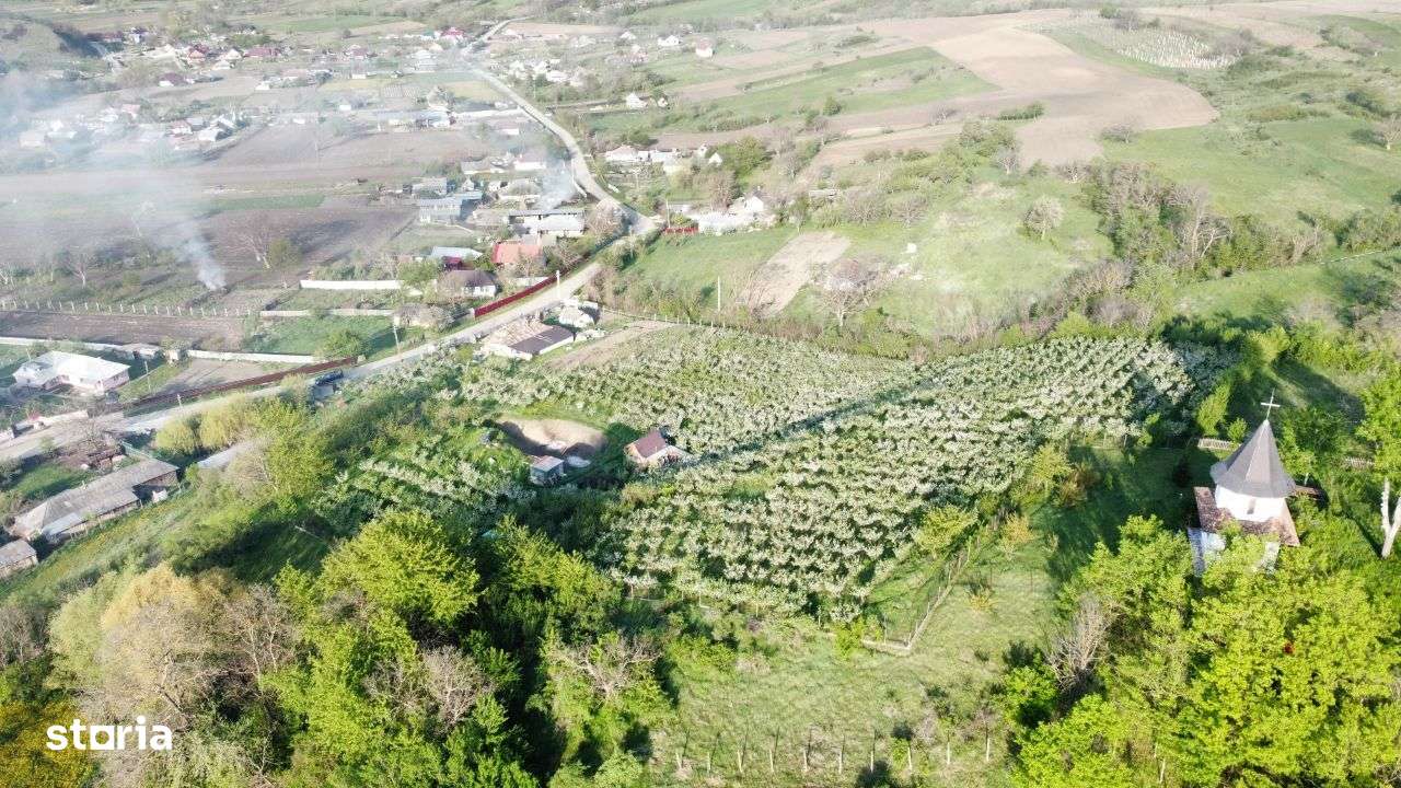 Hala - Spatiu Comercial - Livada , Sat Ciuturesti - Com. Secuieni-14