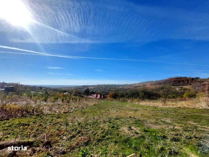 Teren intravilan in localitatea TOHANI PRAHOVA - Imagine principală: 4/4