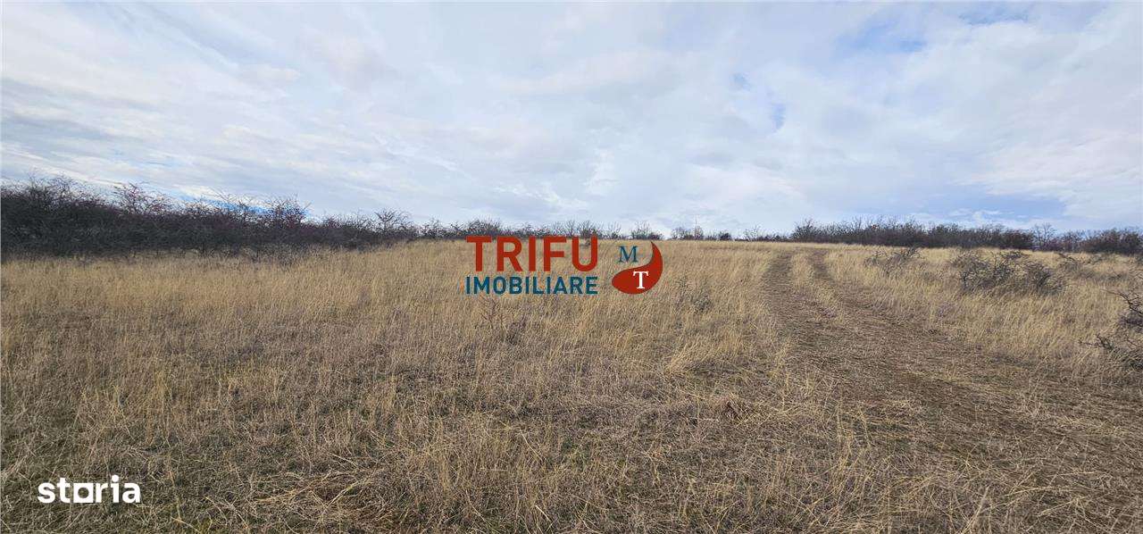 Teren extravilan în zona Pâclișa - Imagine principală: 5/5