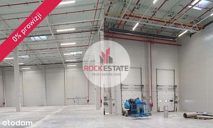Magazyn 2893 m2 w Rzeszowie - 0% prowizji - Pełny obrazek: 5/5