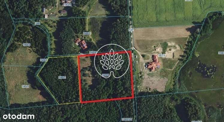 462/14150/OGS - Pełny obrazek: 5/5