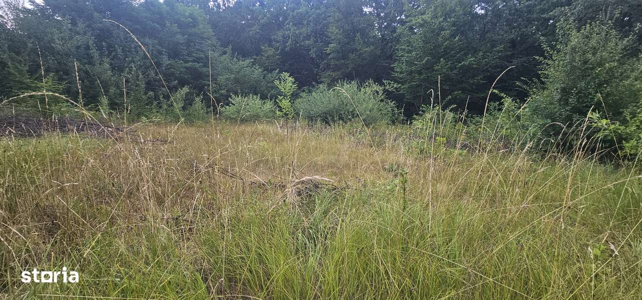 Vand teren intravilan de constructii situat la sosea, Tropinii Noi,PUZ-14