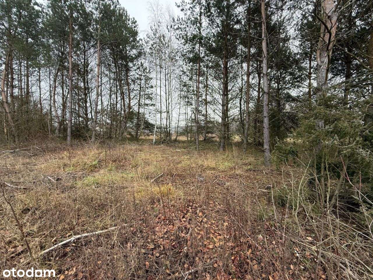 Działka z Wz w malowniczej okolicy-2