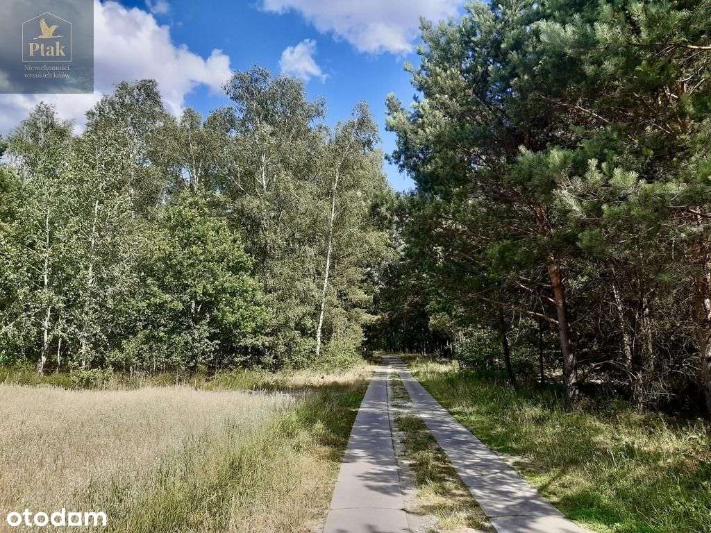 Piękna duża działka budowlana przy lesie - Pełny obrazek: 4/17