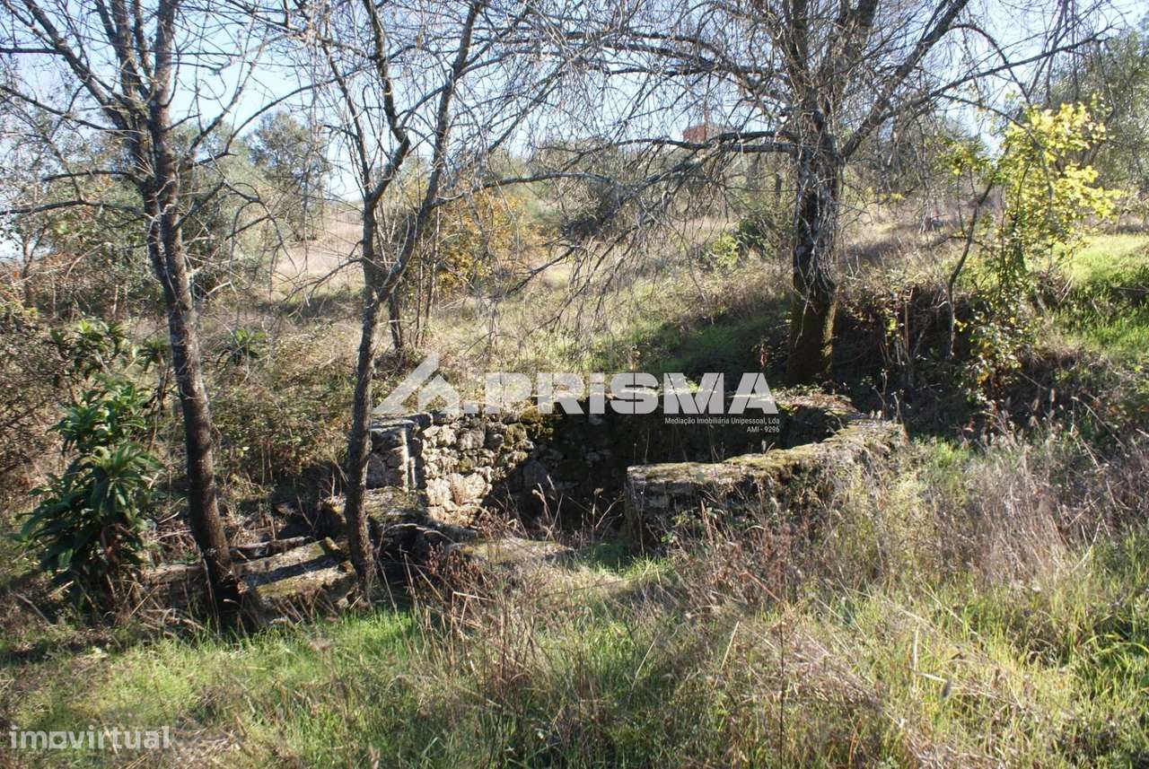 Oportunidade Única às Portas de Castelo Branco!-10