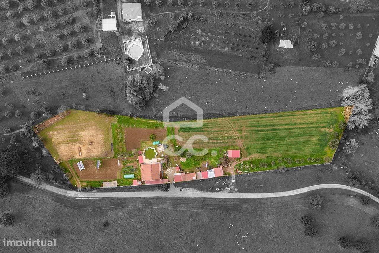 Quinta com 1,35ha c/ Moradia T7, Anexo e Piscina | Portel - Grande imagem: 3/60