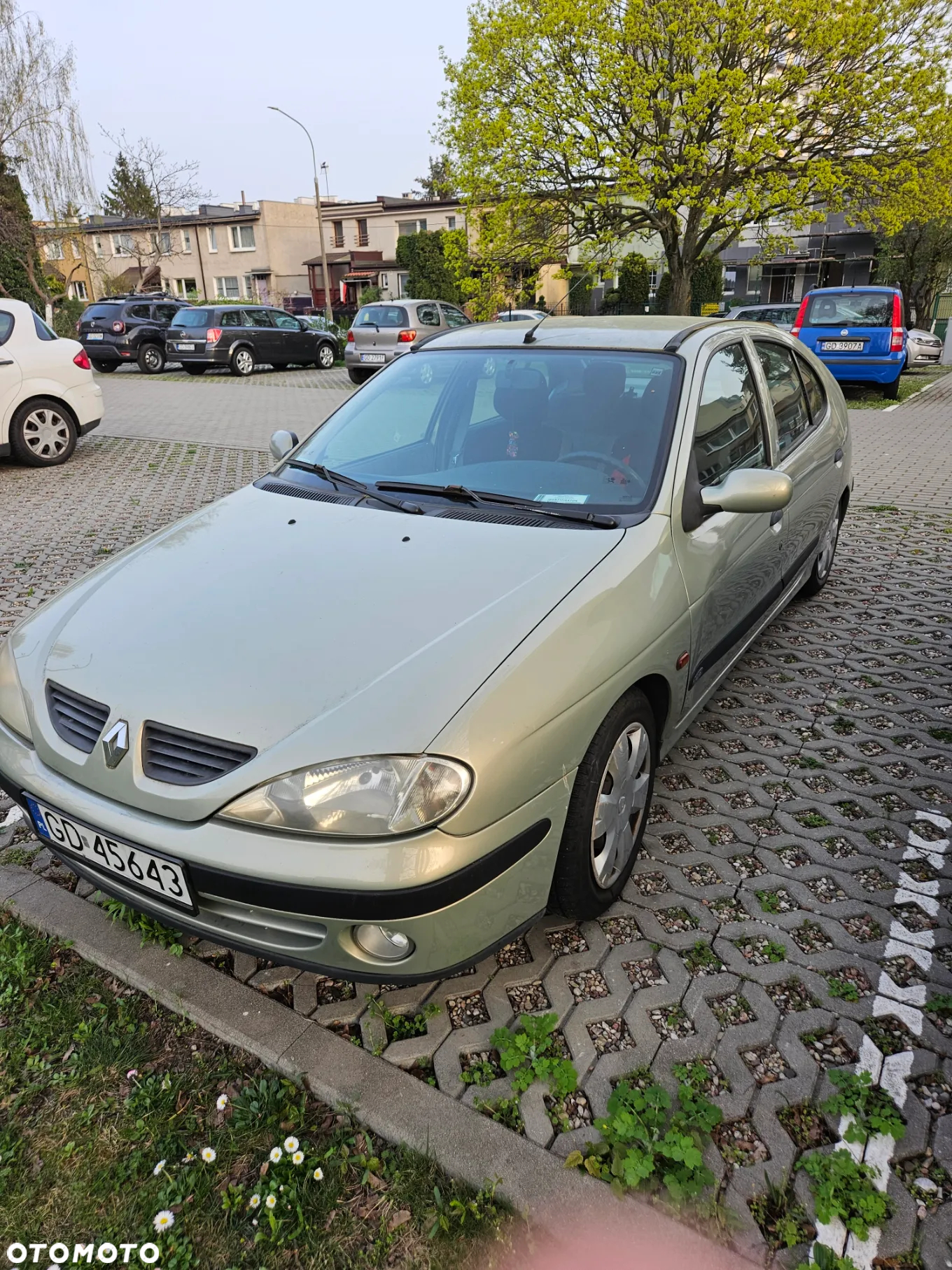 Renault Megane - 6