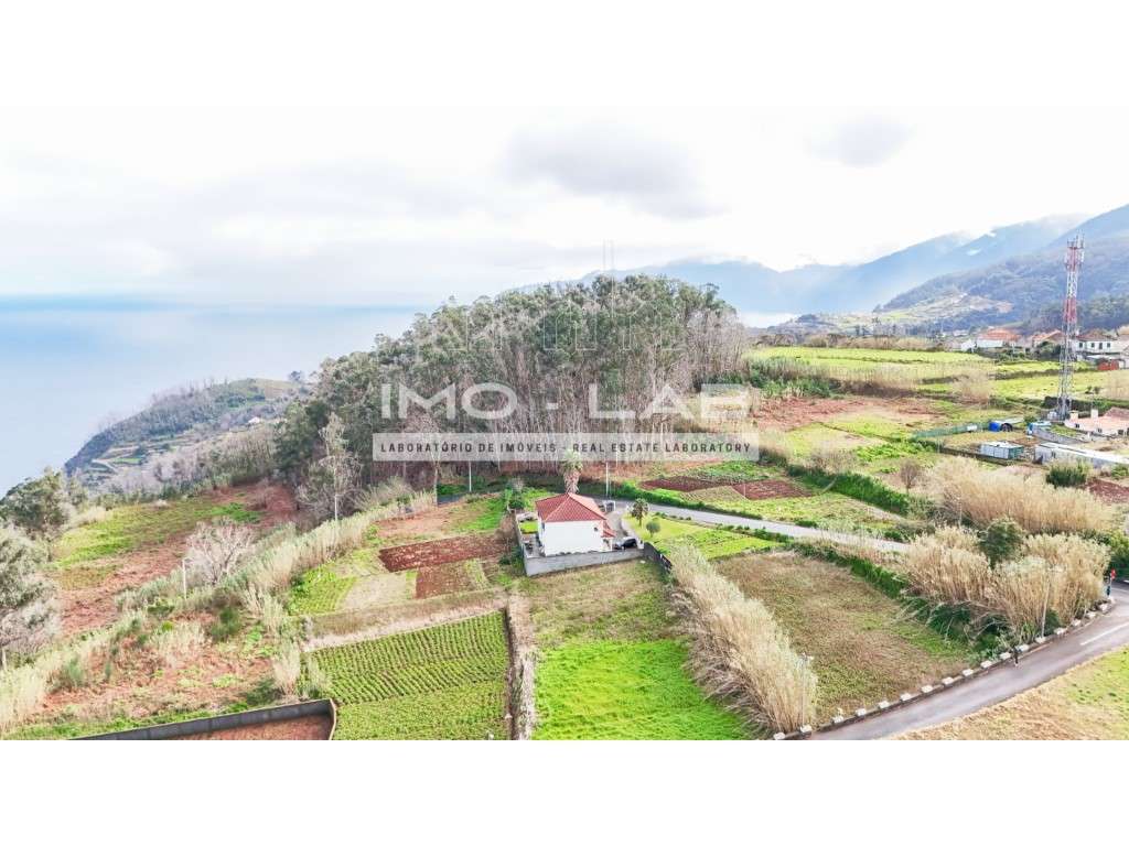 Terreno plano com 2128m2 - Porto Moniz-17