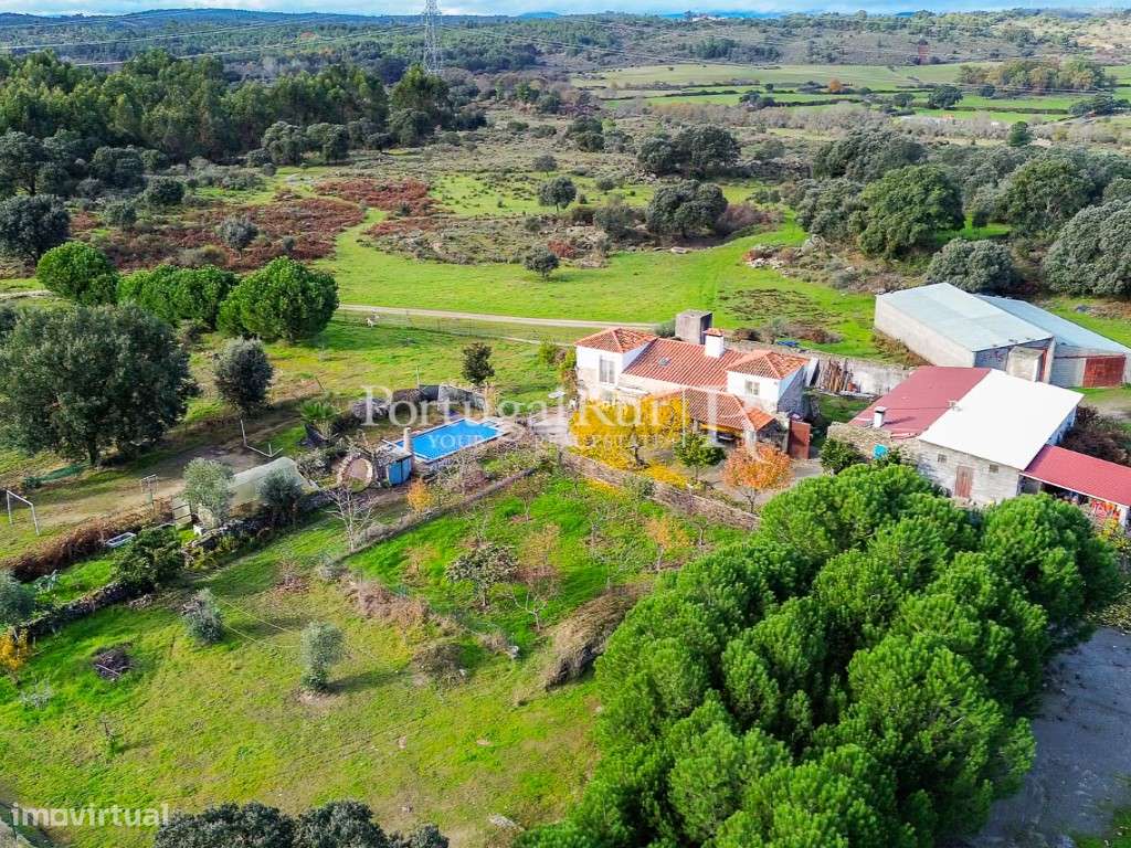 Herdade de 103 ha confinante com o Rio Ocreza em Castelo Branco - Grande imagem: 3/60
