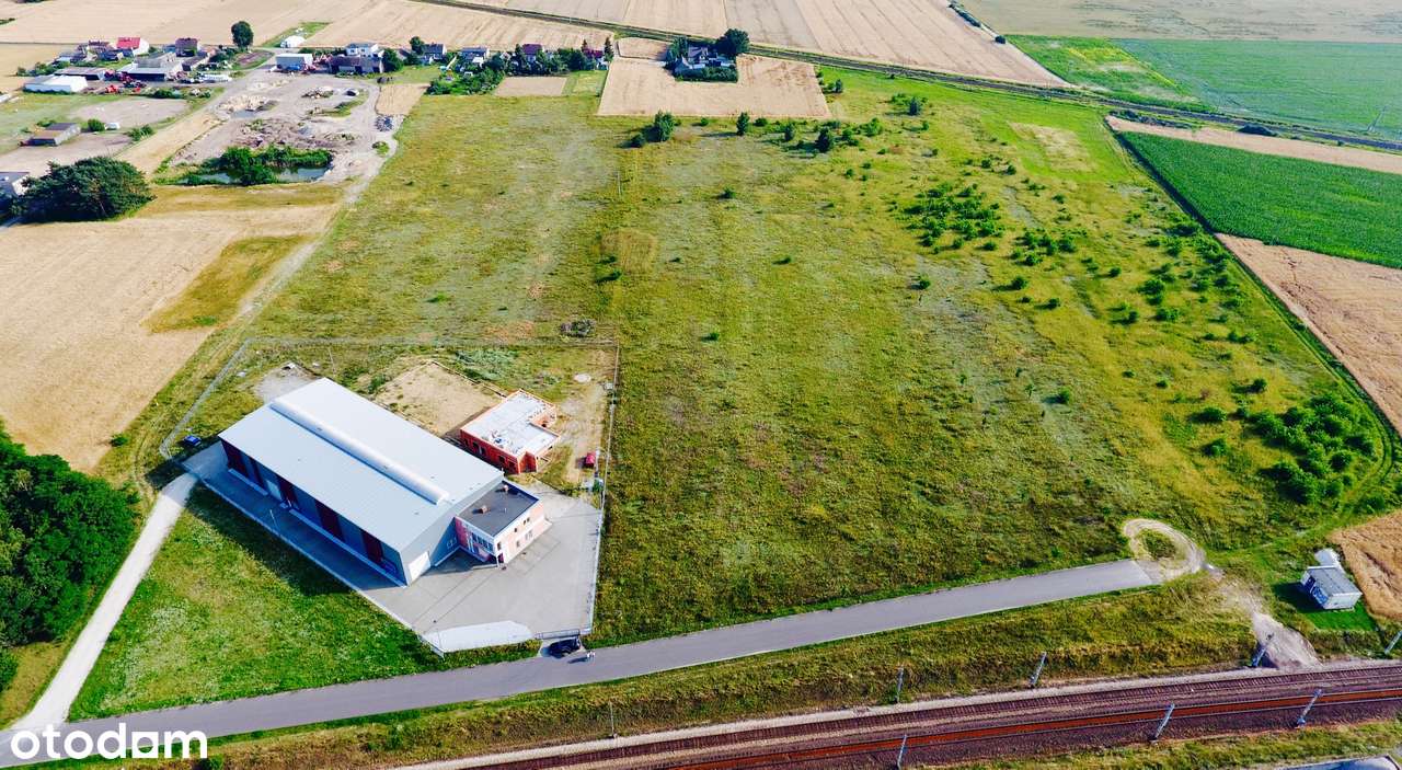 Teren pod AG z planem miejscowym Września, autostrada A2. Bez prowizji - Pełny obrazek: 4/6