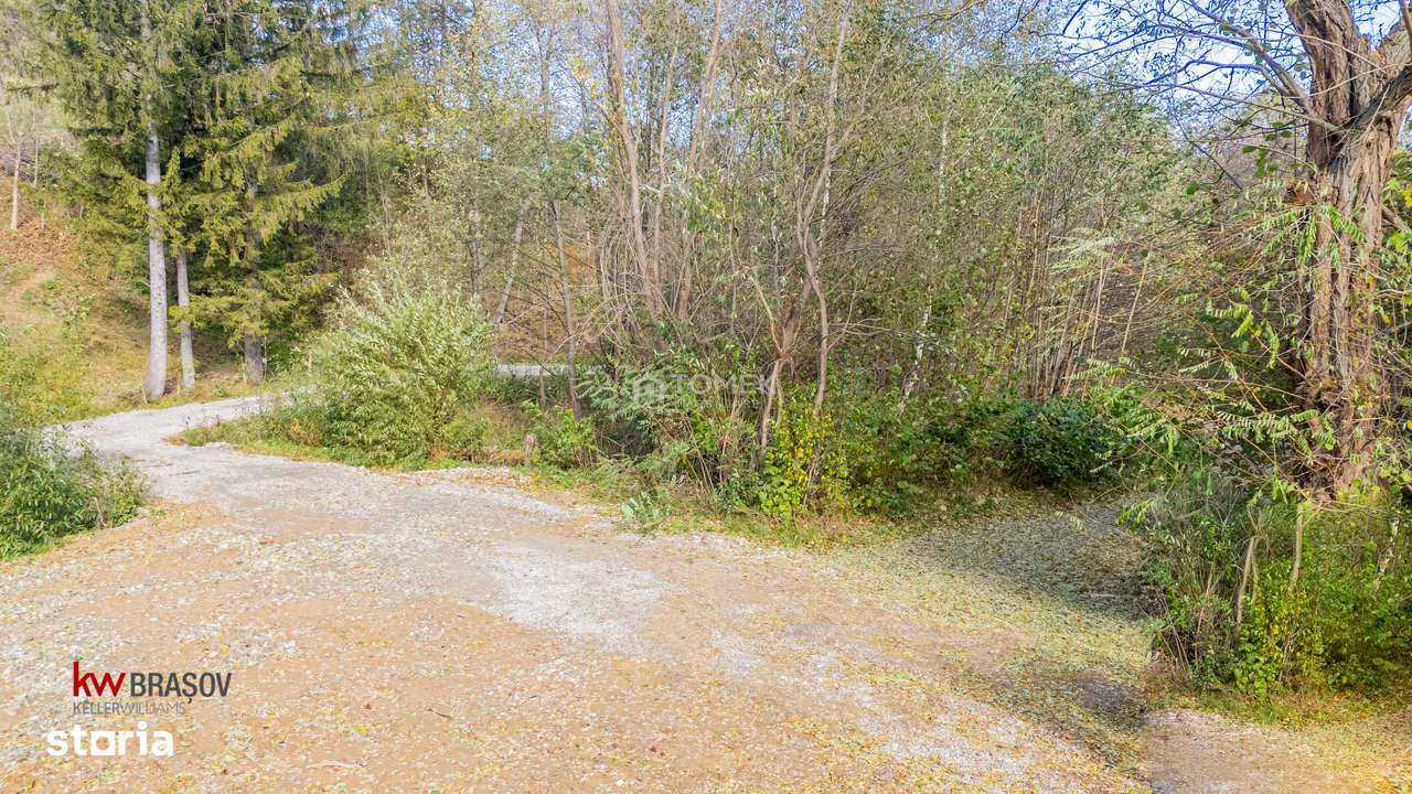 Teren intravilan în Zărnești, zona Tohanita, cu pădurice și parau curg-15