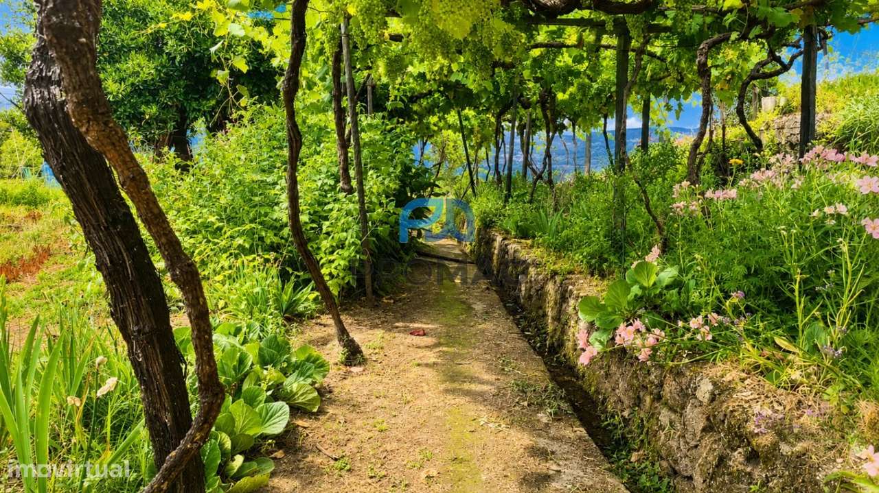 Quinta T6 em São Martinho de Mouros-49