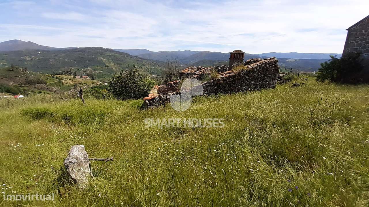 Moradia T2 Avô p/ reconstruir - Grande imagem: 5/9