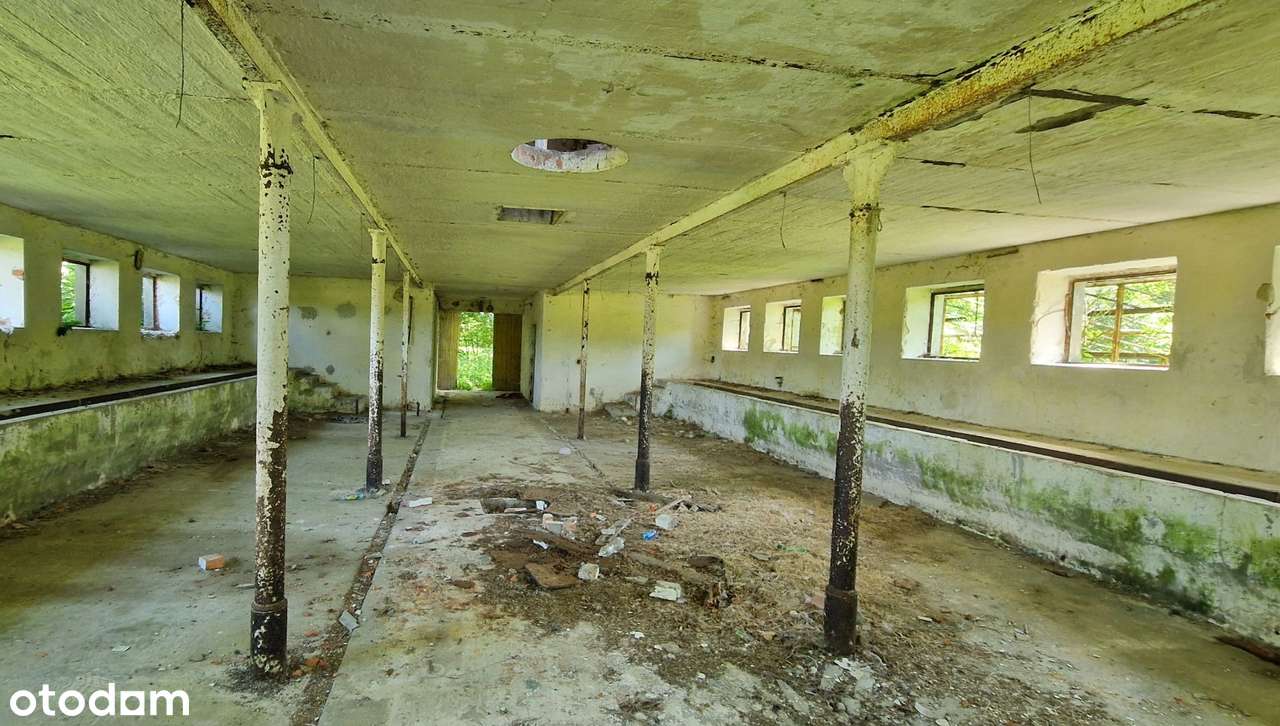 26 hektarów gruntów przy drodze wojewódzkiej, media - Pełny obrazek: 4/9