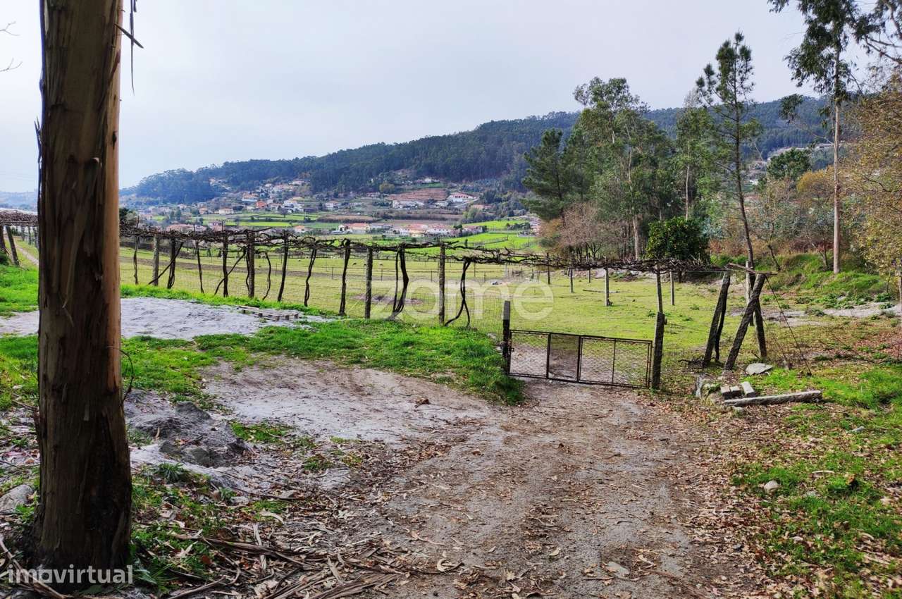 Terreno com 11554 m2 para venda em Portela/V.N. Famalicão - Grande imagem: 4/12
