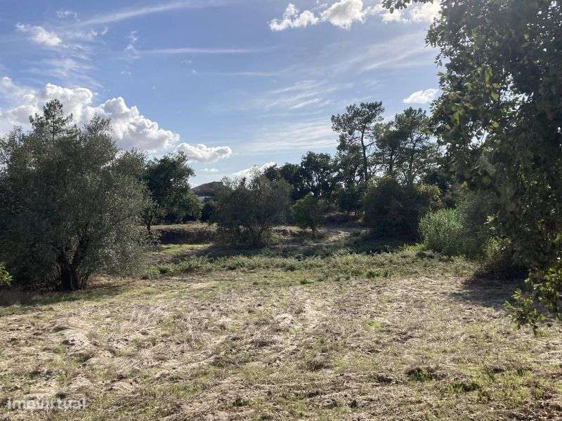 Terreno em Coruche - Grande imagem: 5/7