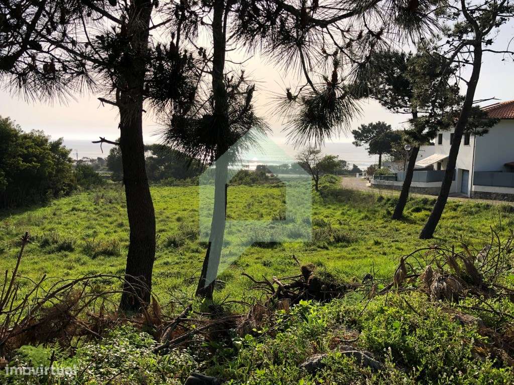 Terreno rústico em Moledo e Cristelo, Caminha. - Grande imagem: 5/12
