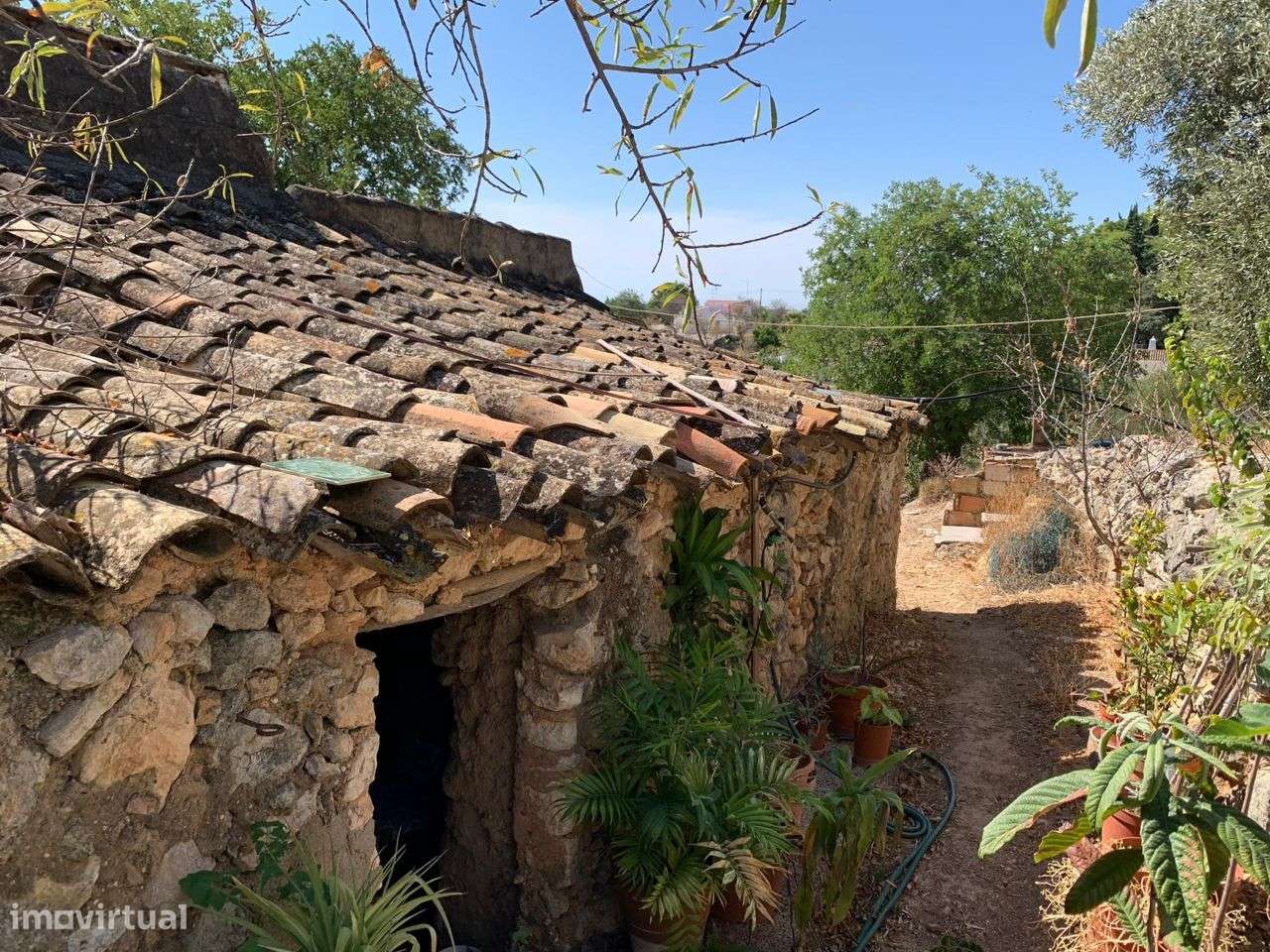 Terreno Urbano, com 3 artigos, Colmeal-57