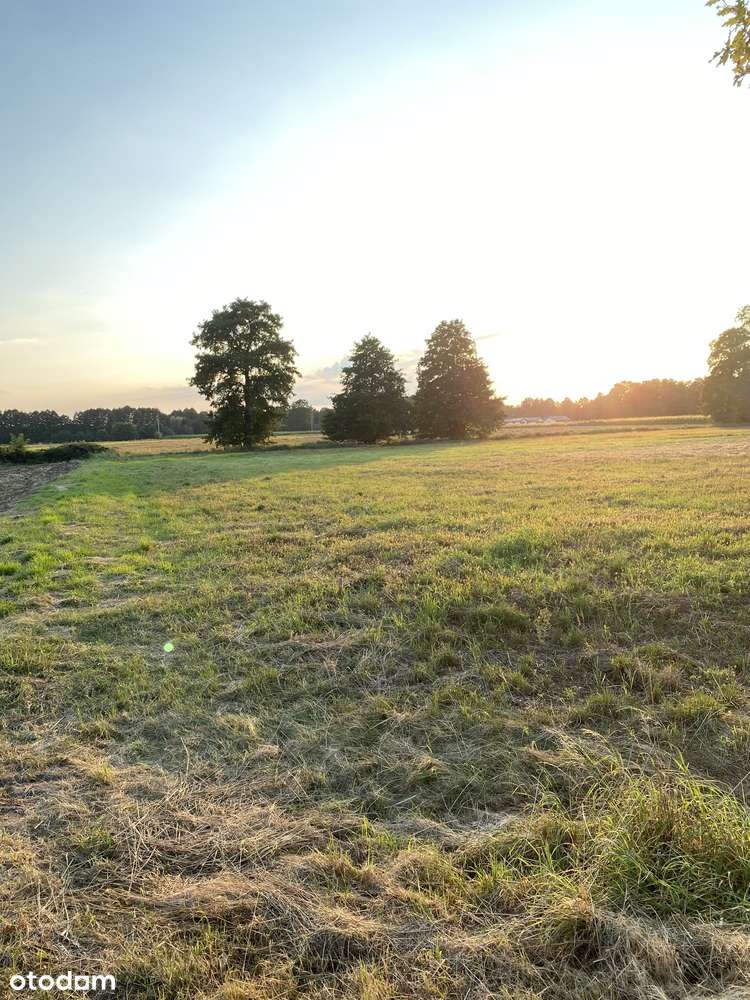 Działka budowlana 18 arów – Nowy Krzymów, gm. Krzymów – blisko Konina - Pełny obrazek: 5/8