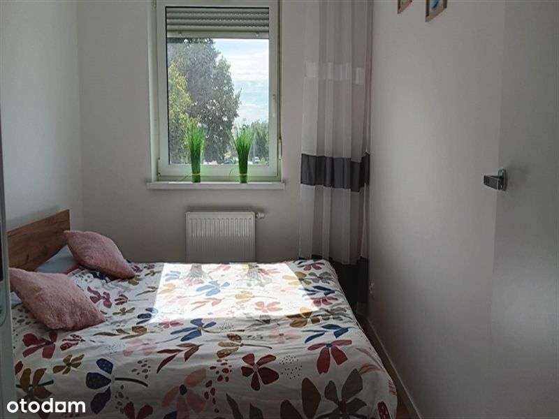 3Pokojowe Mieszkanie 1Piętro-Winda-1