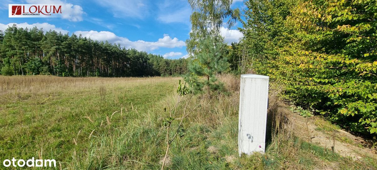 Góra, gmina Stara Kiszewa, rzeka, las.