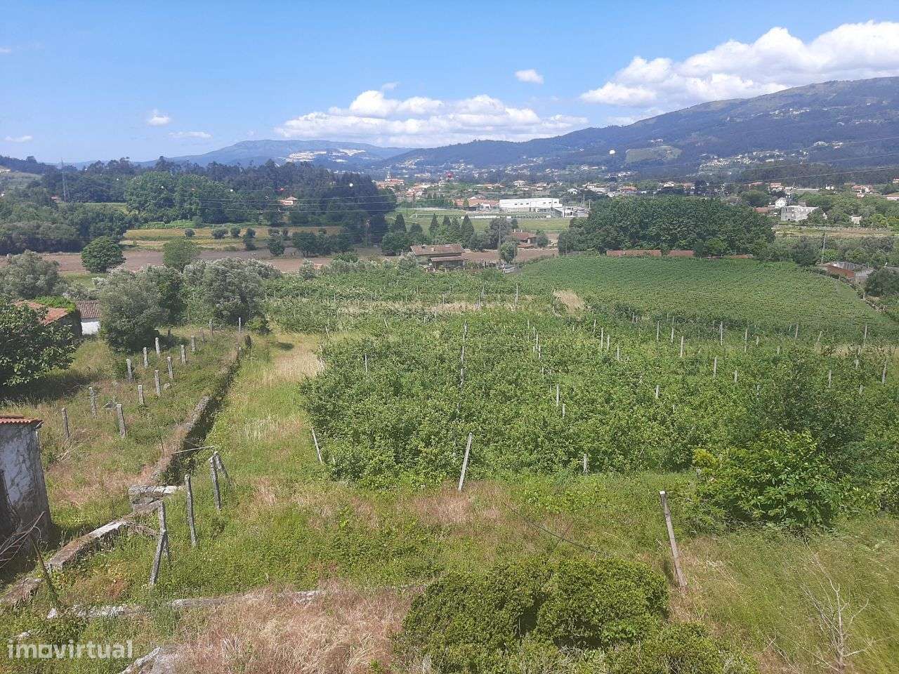 Quinta do Casal - Grande imagem: 3/17