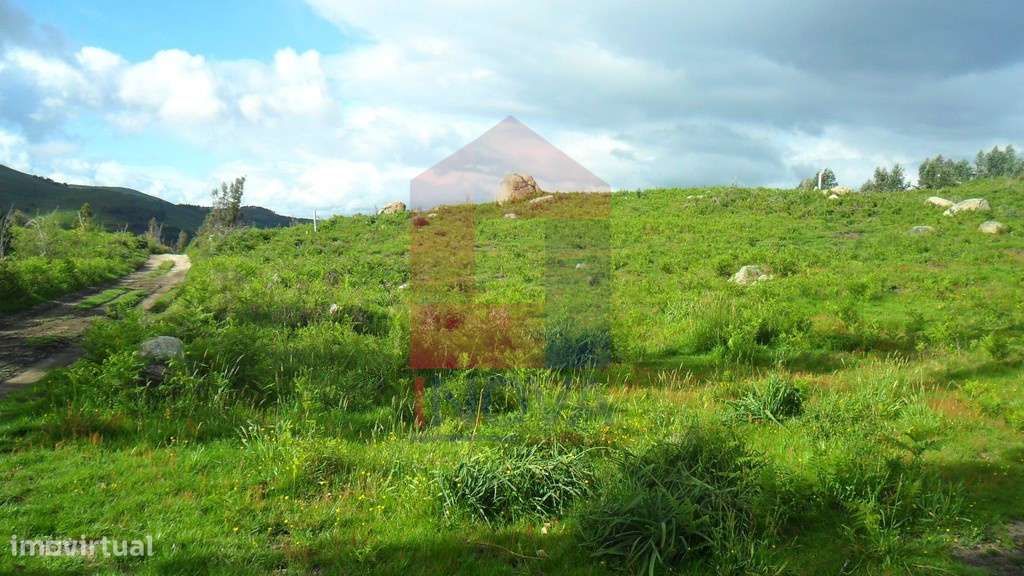 Terreno, Godinhaços - Grande imagem: 3/14