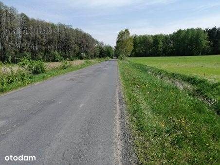 Działka budowlana, Gąba. Polecamy!