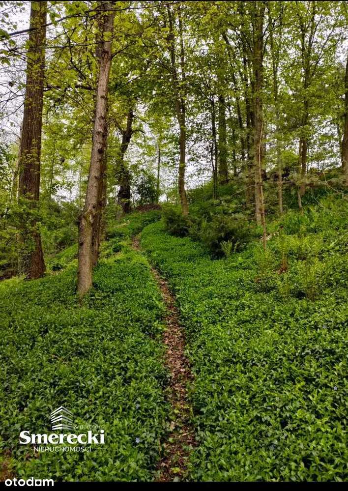 Dom w otulinie Parku Krajobrazowego-10