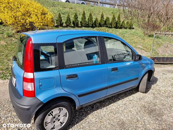 Fiat Panda 1.2 Dynamic Plus - 5