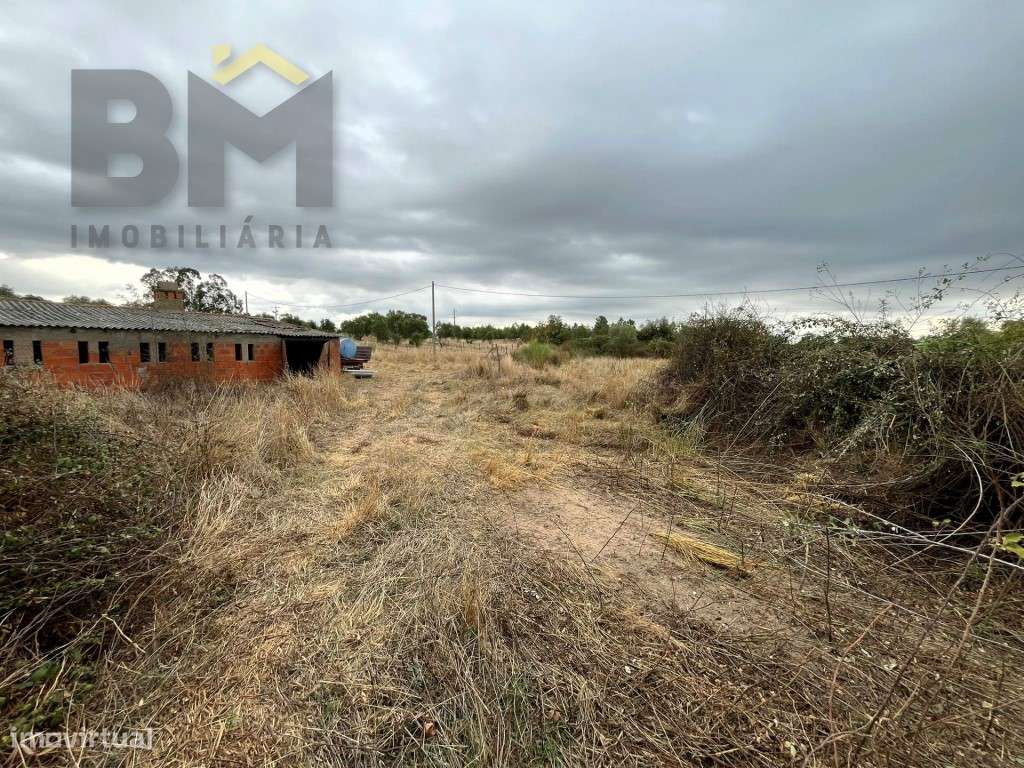 Quinta com cerca de 1.7ha para venda em Monforte da Beira! - Grande imagem: 3/17