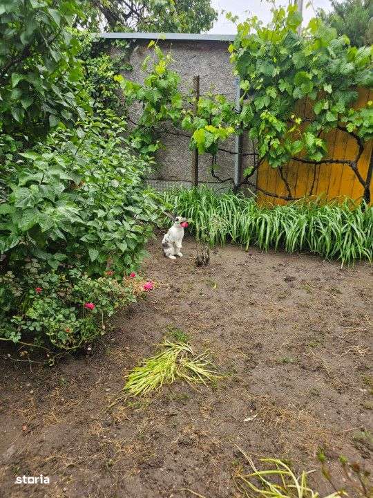 CASA 5 CAMERE ZONA GARII-8