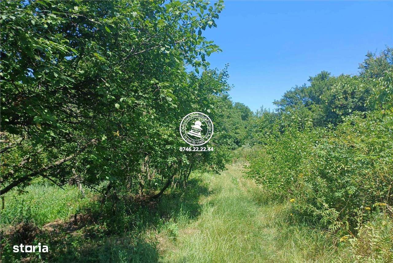 Teren pentru constructii case de vanzare Iasi, Copou - Imagine principală: 1/5